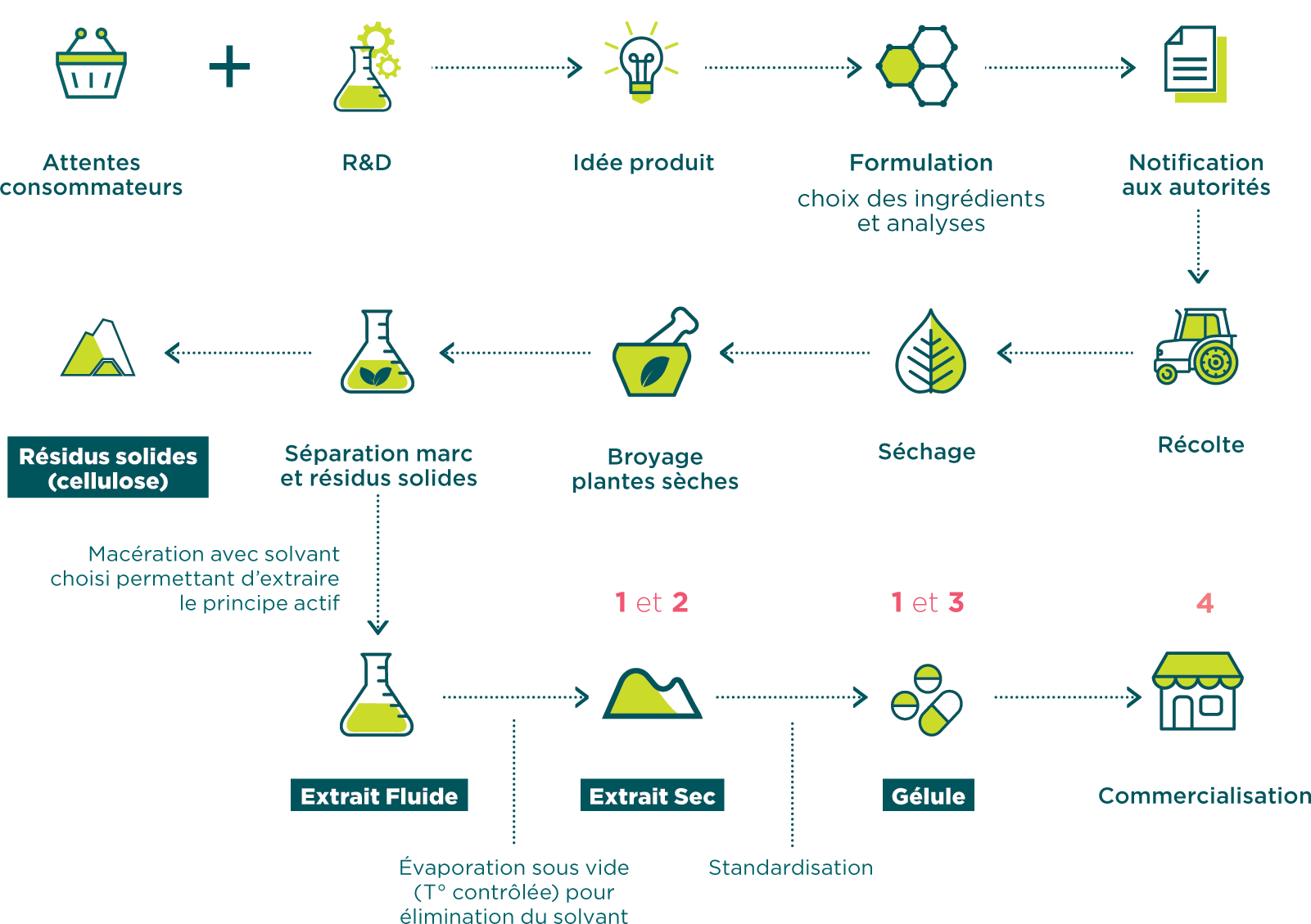diagramme de fabrication d'un complément alimentaire présentant les étapes de fabrication et les analyses réalisées