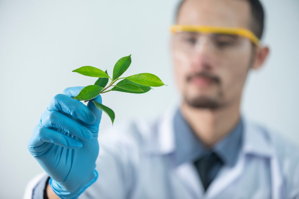 un scientifique analyse une plante