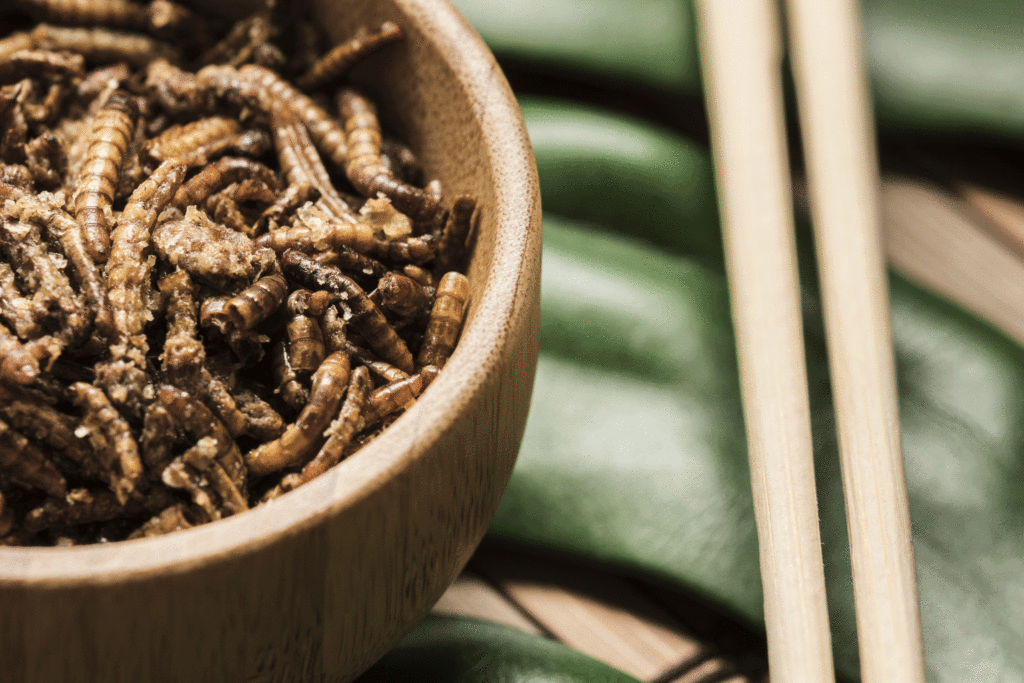 un bol d'insectes